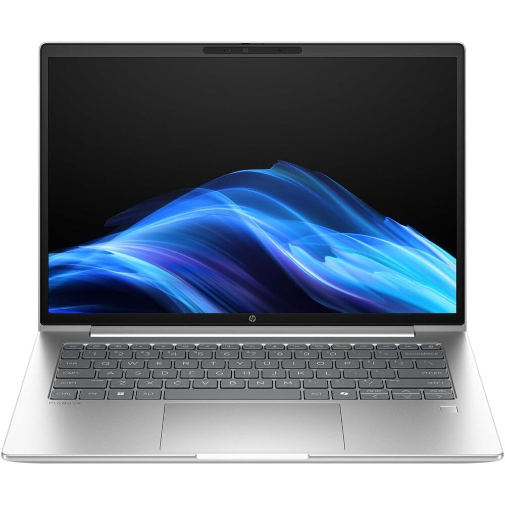 HP ProBook 4 G1a 14" Notebook - WUXGA - 60 Hz - AMD Ryzen 7 250-24 GB - 1 TB SSD - English Keyboard - Pike Silver - AMD Chip - 1920 x 1200 - Windows 11 Pro - - in-Plane Switching (IPS) Technology -