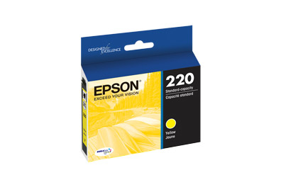 Epson T220420