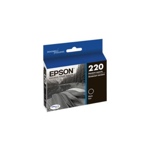 Epson T220120
