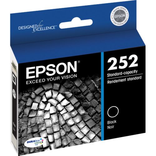 Epson T252120
