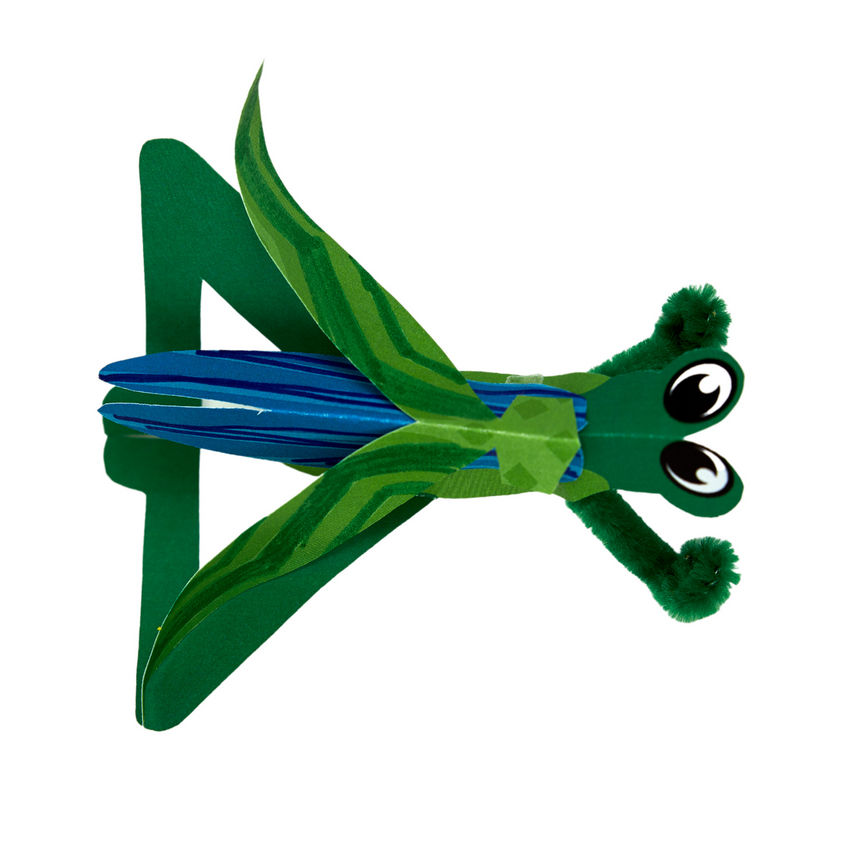 IMG